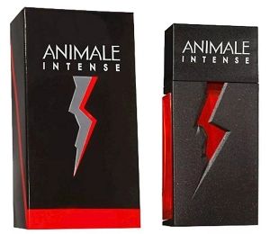 Animale Intense Masculino Eau De Toillete 100ml - imagem 2