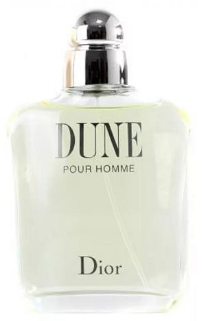 Dune Dior Maculino 100ml - imagem 1