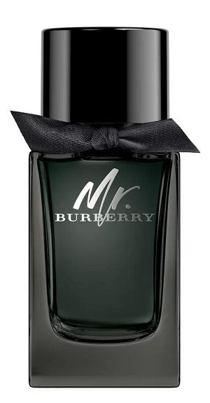Mr Burberry Perfume Edp 100ml - imagem 1