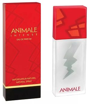 Perfume Animale Intense Feminino 100ml - imagem 2