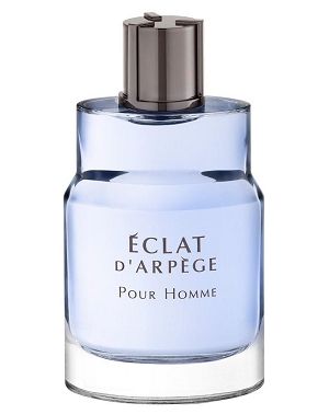 Perfume Eclat D Arpege Homme 100ml - imagem 1
