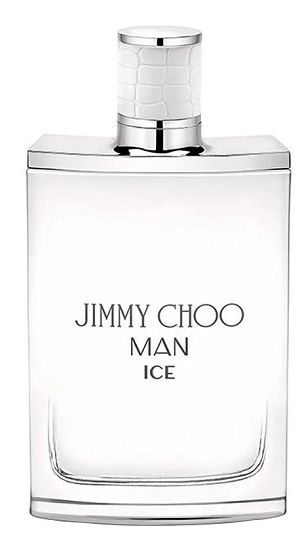Perfume Jimmy Choo Man Ice 100ml - imagem 1