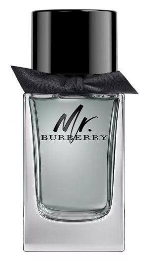 Perfume Mr. Burberry For Men 100ml - imagem 1