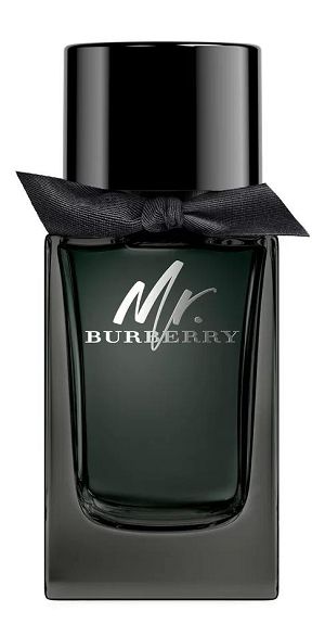 Perfume Mr. Burberry For Men 100ml - imagem 1