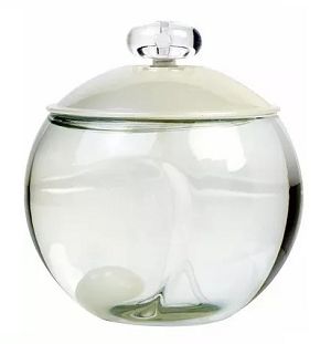 Perfume Noa 100ml - imagem 1