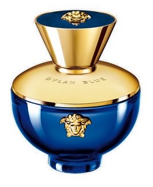 Perfume Versace Dylan Blue Pour Femme 50ml - imagem 1