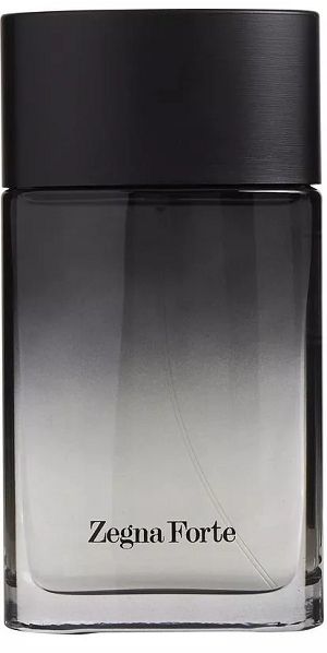 Perfume Zegna Forte 100ml - imagem 1