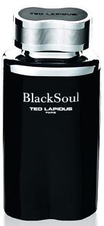 Ted Lapidus Black Soul Masculino Eau de Toilette 100ml - imagem 1