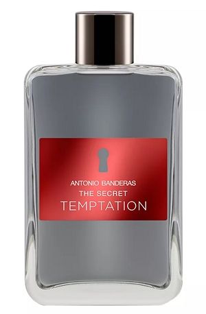 The Secret Temptation Perfume Masculino 200ml - imagem 1