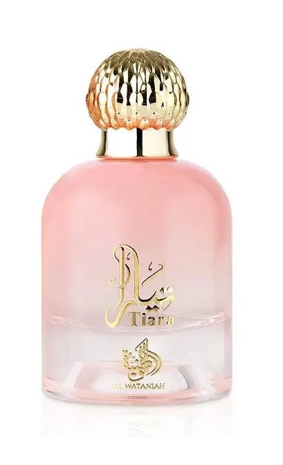 TIARA AL Wataniah Masculino Eau de Parfum 100ml - imagem 1