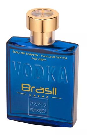 Vodka Brasil Blue - imagem 1