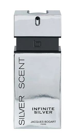 Infinite Silver Scent 100ml - Perfume Masculino - Eau De Toilette
