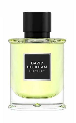 Instinct 75ml - Perfume Masculino - Eau De Parfum