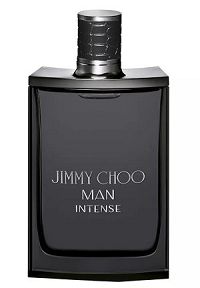 Jimmy Choo Intense 100ml - Perfume Masculino - Eau De Toilette