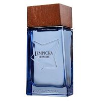 Lempicka Homme 100ml - Perfume Masculino - Eau De Toilette