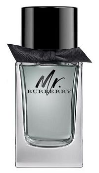 Mr. Burberry for Men Masculino Eau de Toilette 