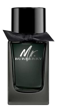 Mr. Burberry For Men 100ml - Perfume Masculino - Eau De Parfum