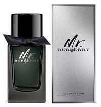 Mr. Burberry for Men Masculino Eau de Parfum 