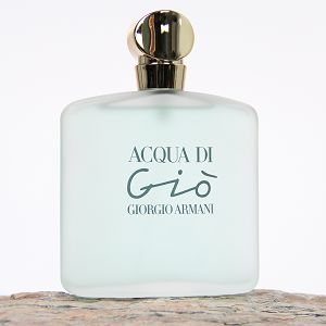 Acqua Di Gio 100ml - Perfume Feminino - Eau De Toilette