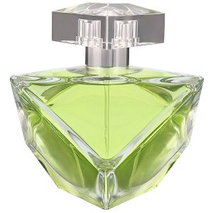 Believe 100ml - Perfume Feminino - Eau De Parfum