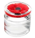 Flower In The Air Feminino Eau de Parfum 