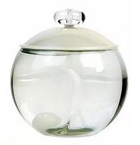 Noa Feminino Eau de Toilette 