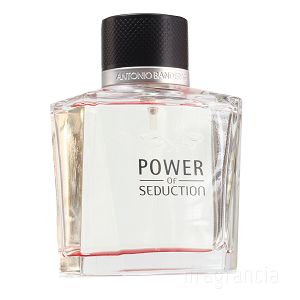 Power Of Seduction 100ml - Perfume Masculino - Eau De Toilette