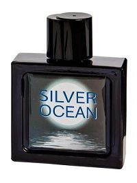 Omerta Silver Ocean 100ml - Perfume Masculino - Eau De Toilette