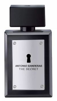 The Secret 100ml - Perfume Masculino - Eau De Toilette