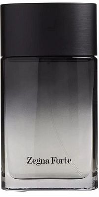 Zegna Forte 100ml - Perfume Masculino - Eau De Toilette