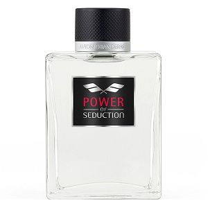 Power Of Seduction 200ml - Perfume Masculino - Eau De Toilette