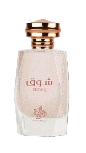 Shouq Al Wataniah 100ml - Perfume Masculino - Eau De Parfum