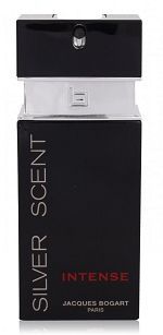 Silver Scent Intense 100ml - Perfume Masculino - Eau De Toilette