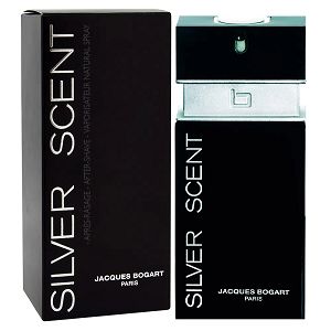 Silver Scent 100ml - Perfume Masculino - Eau De Toilette