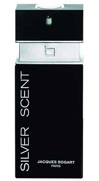 Silver Scent 50ml - Perfume Masculino - Eau De Toilette