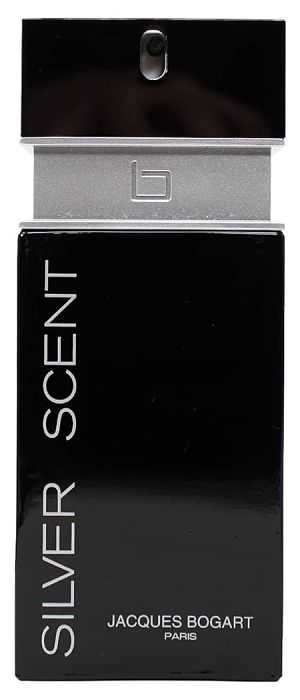 Silver Scent 100ml - Perfume Masculino - Eau De Toilette