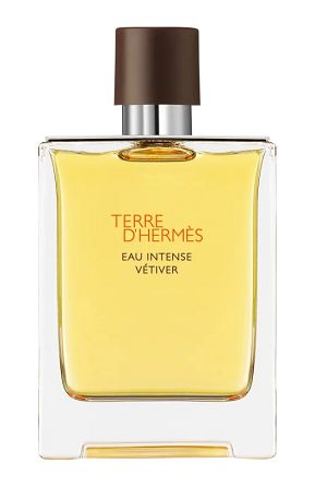 Terre Intense Vetiver 100ml - Perfume Masculino - Eau De Parfum