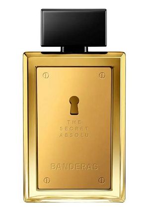 The Secret Absolu 100ml - Perfume Masculino - Eau De Parfum