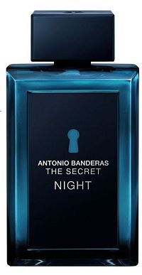 The Secret Night 100ml - Perfume Masculino - Eau De Toilette