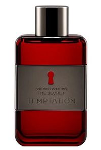 The Secret Temptation 100ml - Perfume Masculino - Eau De Toilette