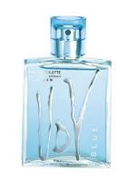 Udv Blue 100ml - Perfume Masculino - Eau De Toilette