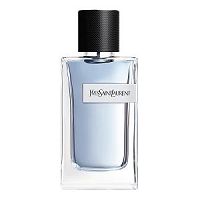 Y Yves Saint Laurent 100ml - Perfume Masculino - Eau De Toilette