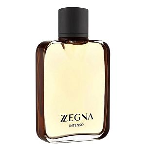 Z Zegna Intenso 100ml - Perfume Masculino - Eau De Toilette