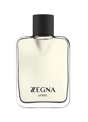 Zegna Uomo 100ml - Perfume Masculino - Eau De Toilette